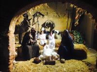 Imagen galeria 1